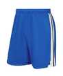 Шорты баскетбольные JOGEL DIVISION PerFormDRY Shorts - Купить недорого в Екатеринбурге качественные Спортивные товары Велосипеды Фитнес аксессуары доставка по России