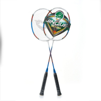 Набор для бадминтона DOUBLE FISH JINQUE TL-11 - Купить недорого в Екатеринбурге качественные Спортивные товары Велосипеды Фитнес аксессуары доставка по России