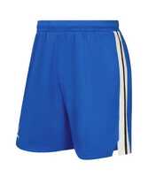 Шорты баскетбольные JOGEL DIVISION PerFormDRY Shorts - Купить недорого в Екатеринбурге качественные Спортивные товары Велосипеды Фитнес аксессуары доставка по России