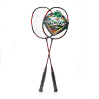 Набор для бадминтона DOUBLE FISH JINQUE 1301 - Купить недорого в Екатеринбурге качественные Спортивные товары Велосипеды Фитнес аксессуары доставка по России