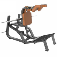 Тренажер Приседание STF65 - Купить недорого в Екатеринбурге качественные Спортивные товары Велосипеды Фитнес аксессуары доставка по России