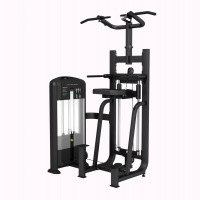 Комбинированный станок с разгружением (Гравитрон) FTX-FB09  - Купить недорого в Екатеринбурге качественные Спортивные товары Велосипеды Фитнес аксессуары доставка по России