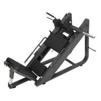 Жим ногами - Гакк машина FTX-FB58  - Купить недорого в Екатеринбурге качественные Спортивные товары Велосипеды Фитнес аксессуары доставка по России