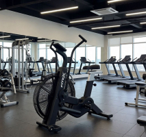 АэроБайк PREMIER-8A PROF - Купить недорого в Екатеринбурге качественные Спортивные товары Велосипеды Фитнес аксессуары доставка по России