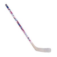 Клюшка STC mini - Купить недорого в Екатеринбурге качественные Спортивные товары Велосипеды Фитнес аксессуары доставка по России