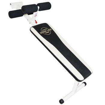 Скамья для пресса HL001.3  - Купить недорого в Екатеринбурге качественные Спортивные товары Велосипеды Фитнес аксессуары доставка по России